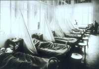 Spanish Flu